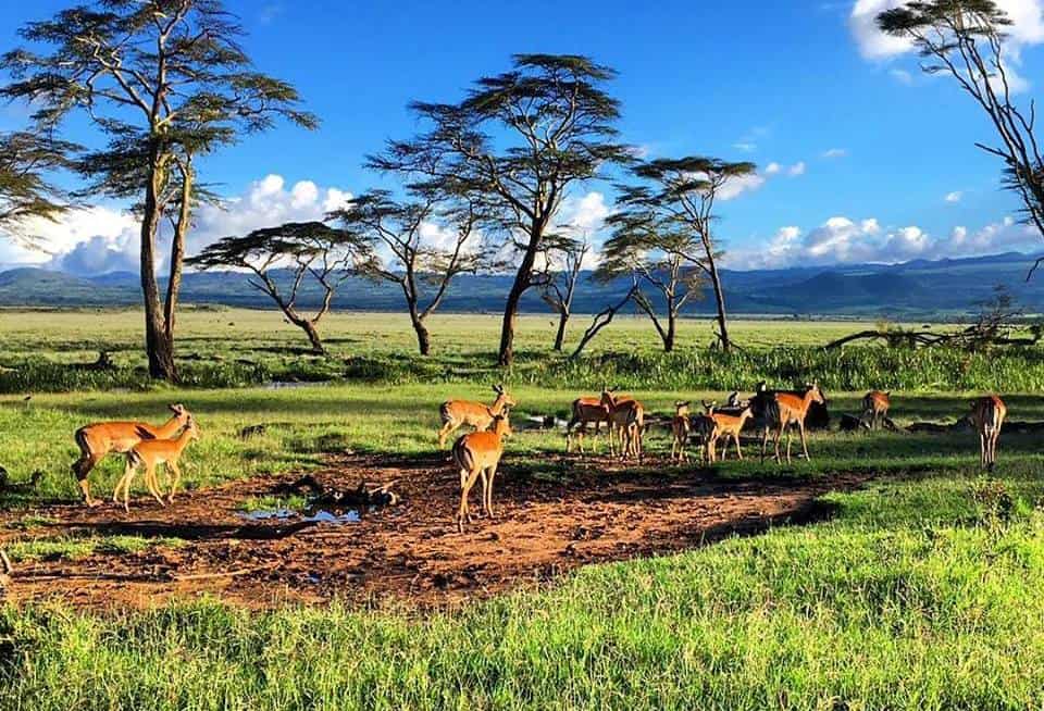 EcoLux☆Lifestyle: 2018’s Top Travel Hit List for Satisfying Wanderlust