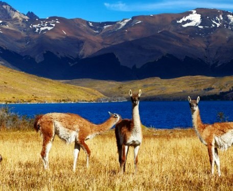 ecoluxury, ecoluxluv, luxury lifestyle, luxury brand, luxury life, luxury zone, alberni street, fblogger, luxury homes, designer, gala, celebrities, personalities, supercar, fashion blogger, lifestyle consultant, sustainable, recycling, plantbased, vegan, Top 10 Getaways, Bannikin Travel, Ecoluxury Travel, World Travel, Helen Siwak, Vancouver, YVR, Vancity, BC, Travel