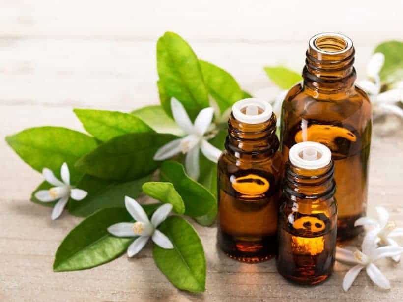 Ten Most Expensive Essential Oils, EcoLuxLuv, FolioYVR, Vancouver, BC, 604, Vancity, Luxury Lifestyle, Helen Siwak