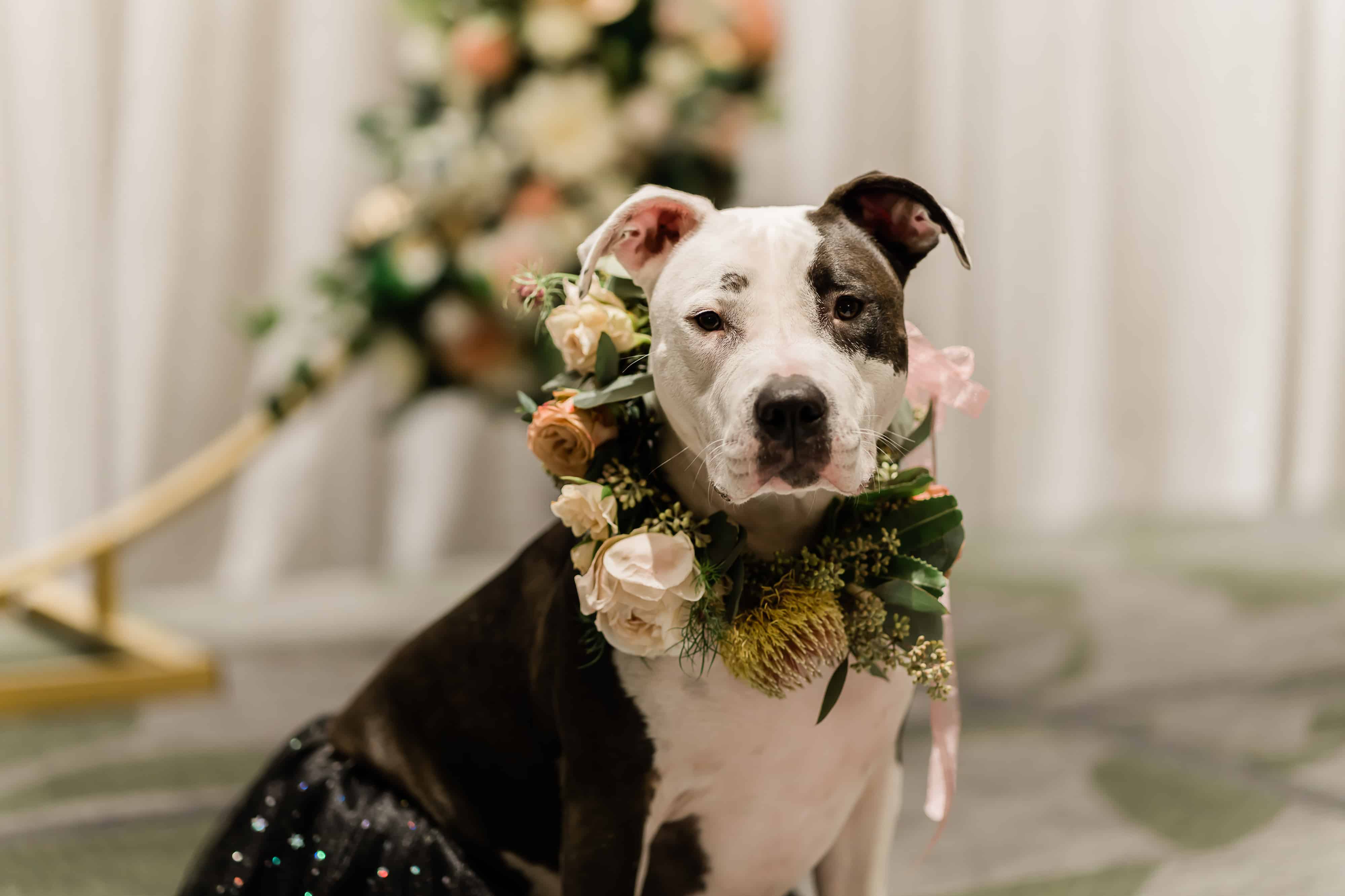 EcoLux☆Lifestyle: Fairmont Hotels & Resorts Invite You to Say ‘I Do’