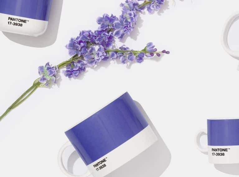 bio sculpture, very peri, pantone colour of the year, giovanna lazzarini,
