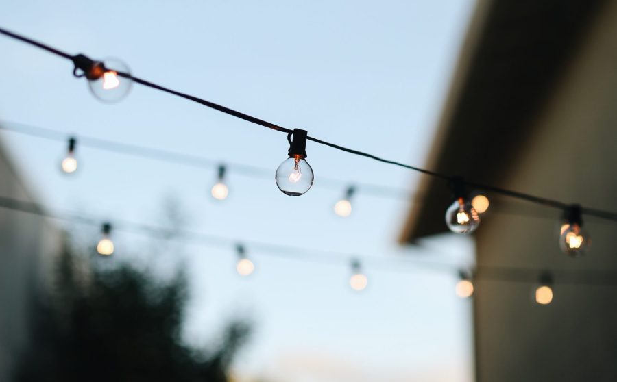 Gio Lazzarini, ecoluxlifestyle, backyard, outdoor space, gardening, LED, green, eco friendly, vancouver, yvr, vegan, cruelty-free, sustainable 