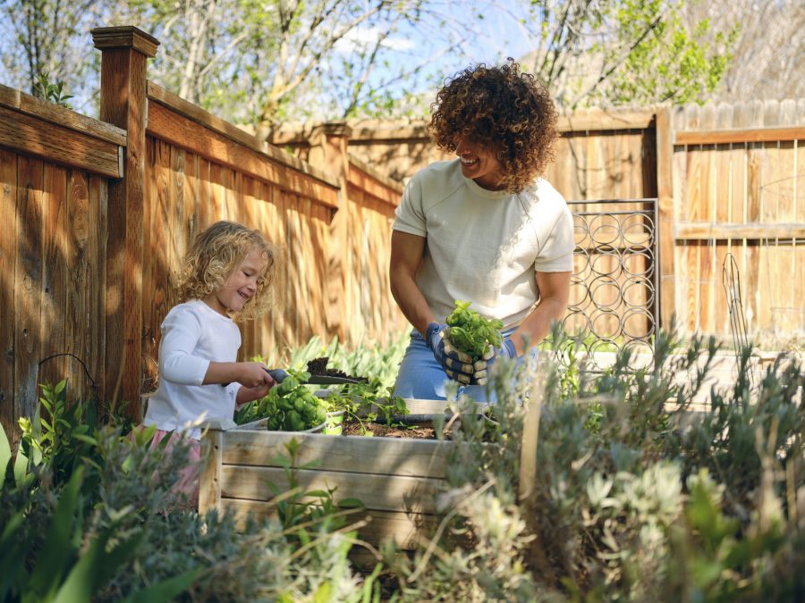 Gio Lazzarini, ecoluxlifestyle, backyard, outdoor space, gardening, LED, green, eco friendly, vancouver, yvr, vegan, cruelty-free, sustainable 